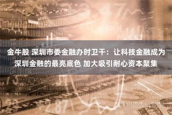 金牛股 深圳市委金融办时卫干：让科技金融成为深圳金融的最亮底色 加大吸引耐心资本聚集