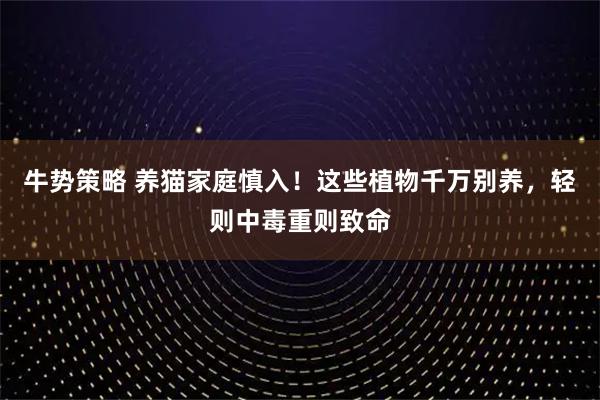 牛势策略 养猫家庭慎入！这些植物千万别养，轻则中毒重则致命