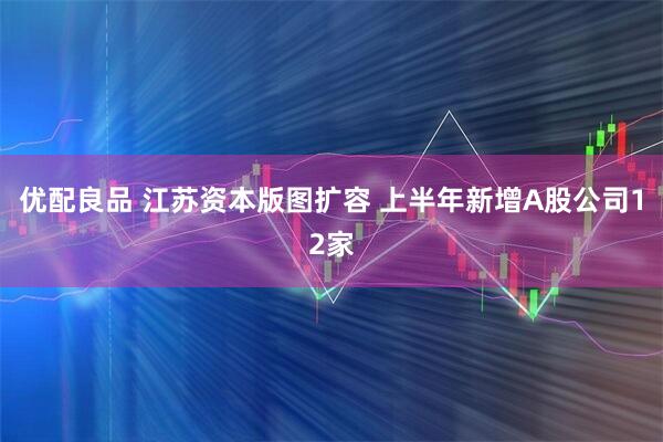 优配良品 江苏资本版图扩容 上半年新增A股公司12家