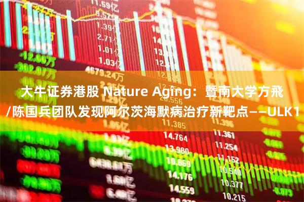 大牛证券港股 Nature Aging：暨南大学方飛/陈国兵团队发现阿尔茨海默病治疗新靶点——ULK1