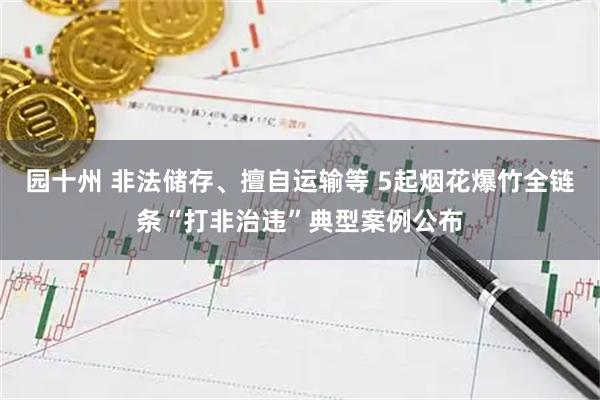 园十州 非法储存、擅自运输等 5起烟花爆竹全链条“打非治违”典型案例公布
